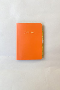 mode, pause gratitude journal