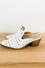 mode, isn't she lovely mule