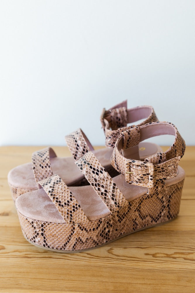 mode, step into faith platform