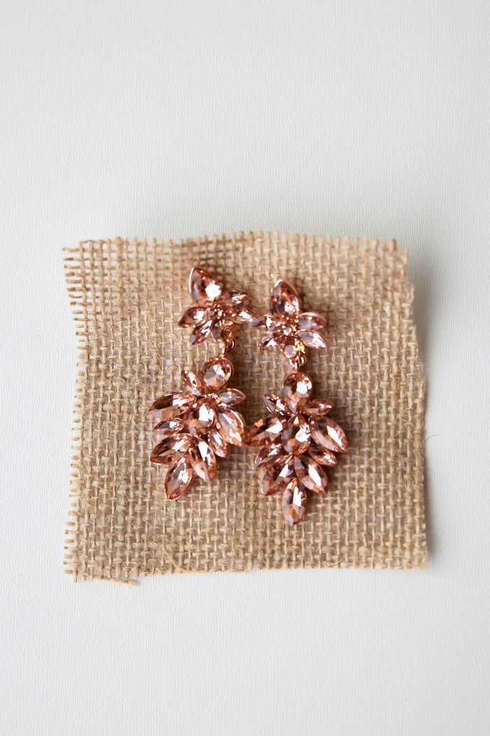 mode, gleaming earring